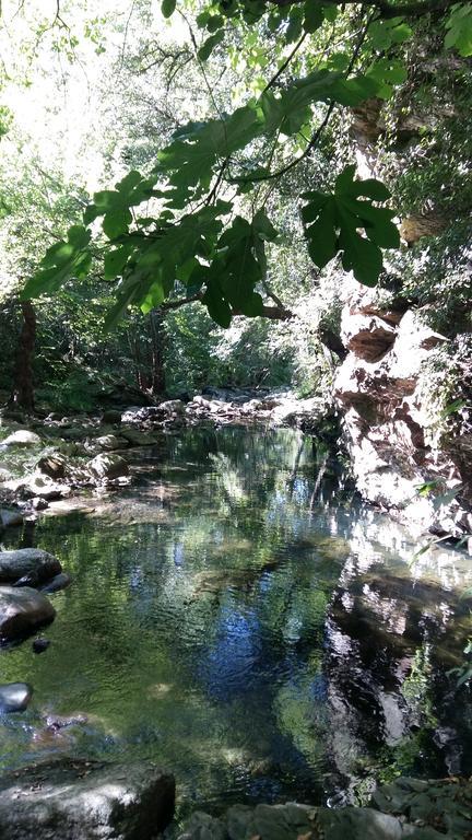 Camping Maureillas Exterior foto